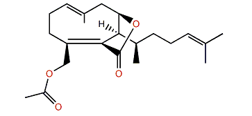 Dictyotalide B